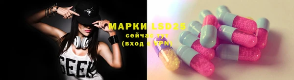 стафф Алзамай