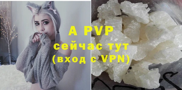 твердый Алексеевка